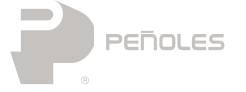 Logo 9
